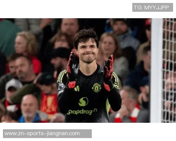 费迪南德称赞拉门斯门将表现提升后防稳定性球队受益明显 费迪南德称赞拉门斯门将表现提升后防稳定性球队受益明显